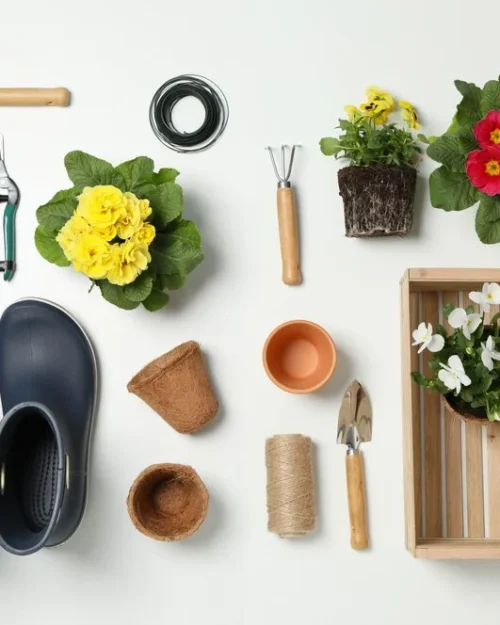 Gardening & Outdoor
